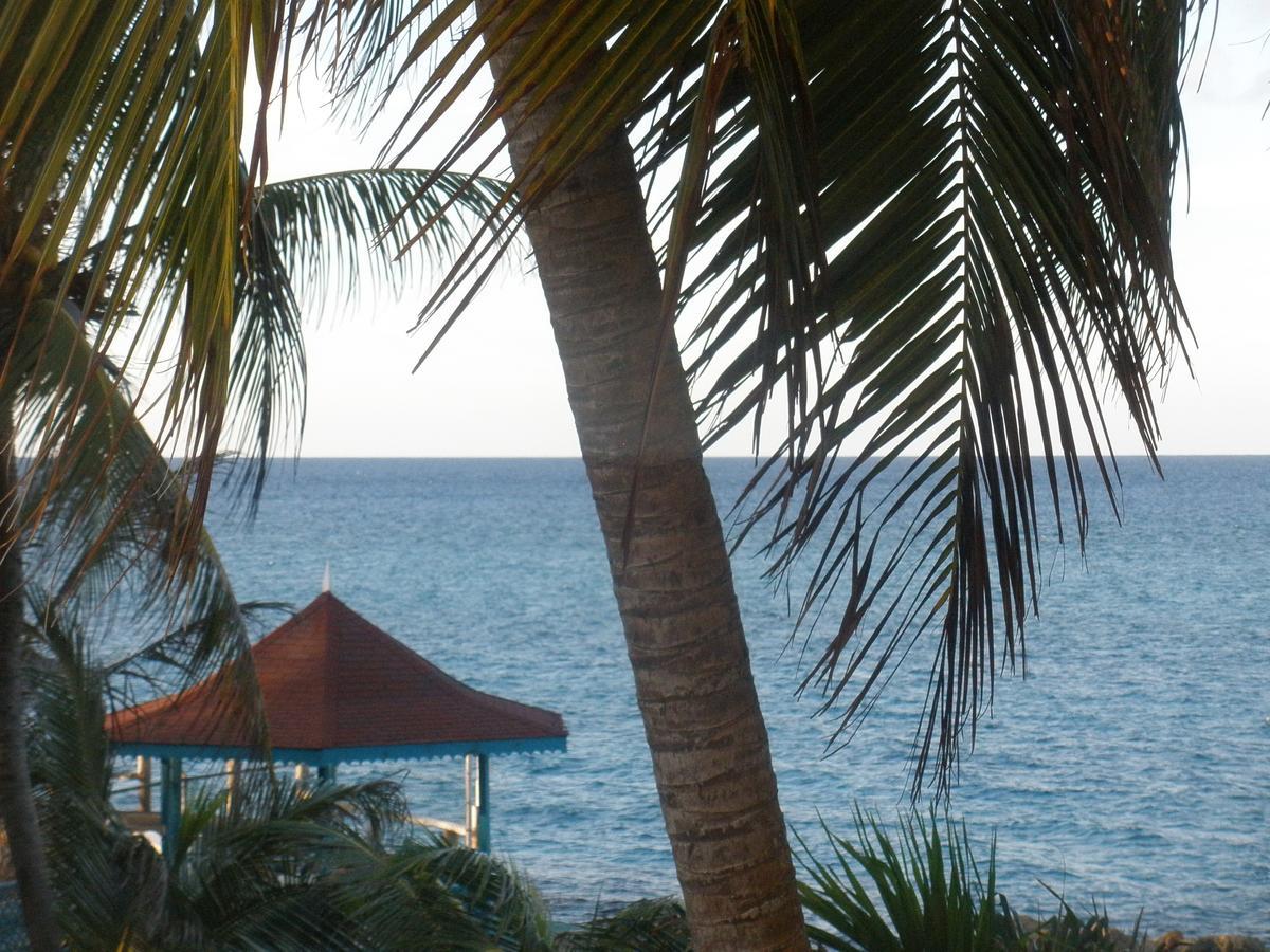 Villa Criss Ocho Rios Exterior foto